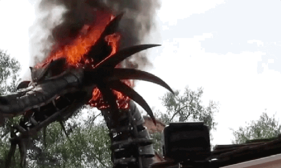 迪士尼乐园机器巨龙意外起火 游客以为是表演一部分