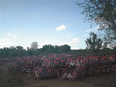 北京市丰台区王佐镇瓦窑村西侧的共享单车“收容站”，堆积成山的摩拜单车。